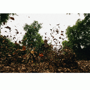 ECHO PB-2520 Benzin Laubbläser- 0,90kW – Bild 8