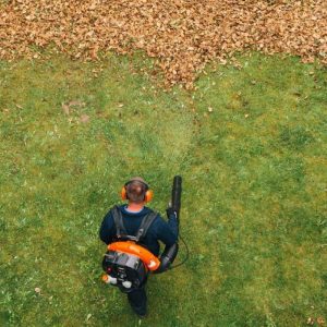 ECHO PB-770 Laubgebläse - 3,05kW – Bild 3