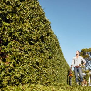 Stihl HSA 56 Heckenscheren Mit AK 20 und AL 101 – Bild 4