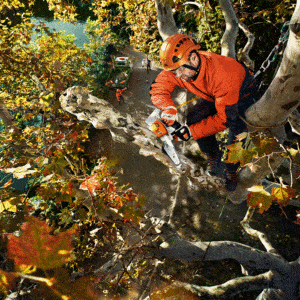 Stihl MSA 161 T Akku Kettensäge 36V BODY - 25/30 cm - Ohne Ladegerät und Akku – Bild 3