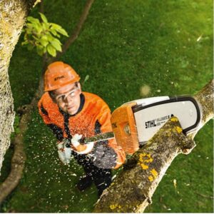 Stihl HTA 66 Akku Hochentaster 36V BODY - Afbeelding 3
