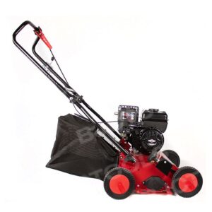 Lazer S393B Vertikutierer - 40 cm - inkl. Auffangschale - Afbeelding 6
