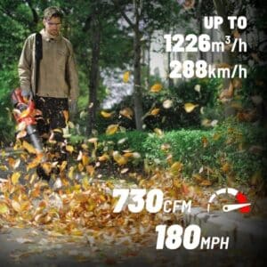 DCK Tools 58V Laubpflege-Set – Akku-Laubbläser mit zusätzlichem 5.0Ah Akku – Bild 7